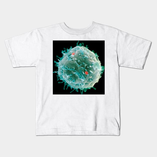 Stem cell, SEM (G442/0451) Kids T-Shirt by SciencePhoto